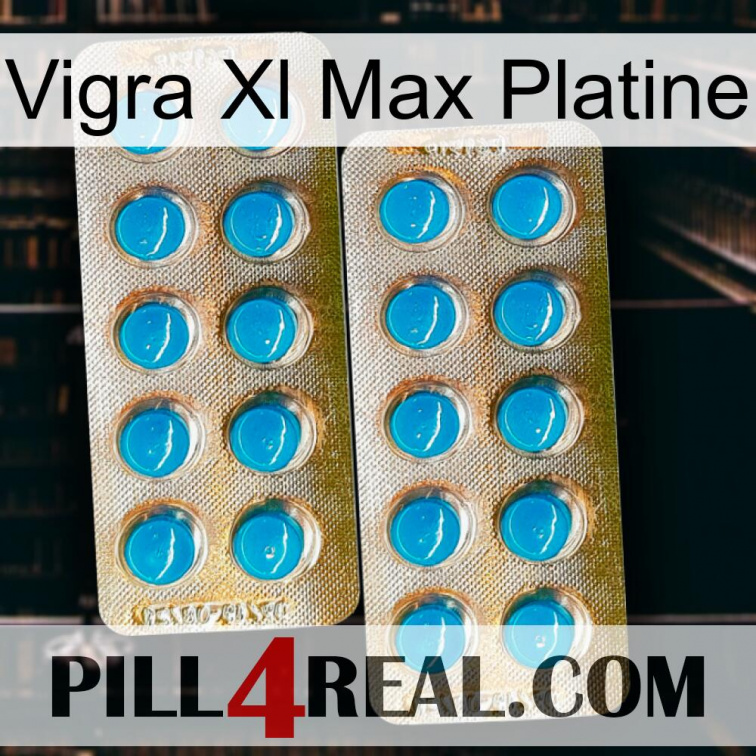 Vigra Xl Max Platinum new08